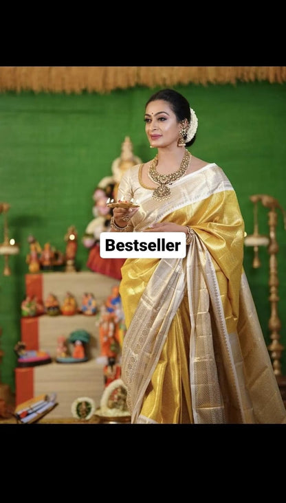 Banarasi Designer saree