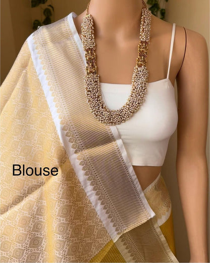 Banarasi Designer saree