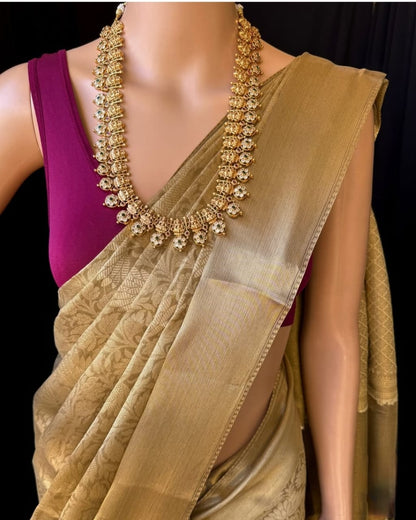 Banarasi Fancy Tissue saree