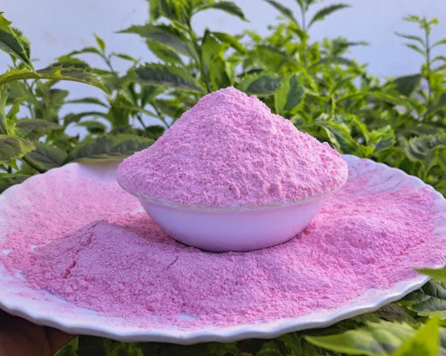 Pink Homemade Natural Holi Colors from vegetables, fruits, grass, etc