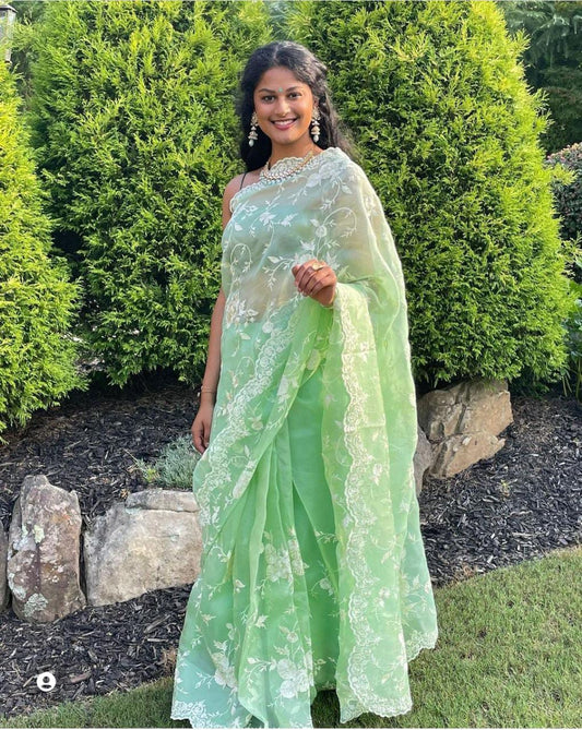 Banarasi Kora Organza