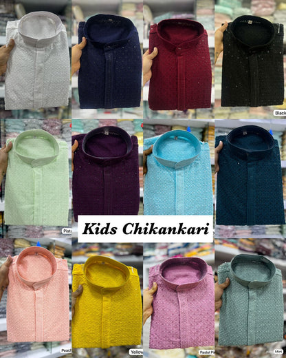 Boys Chikankari  Kurta sets